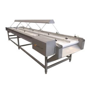 China 220v/ 380v Stainless Steel 304 Nut Selecting Conveyor Belt for Raisin Sorting Machine on sale