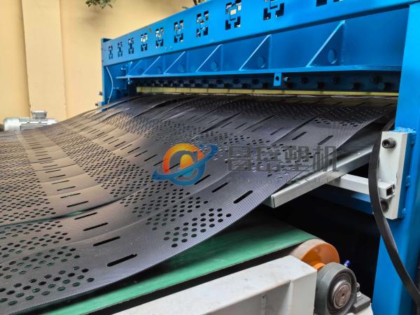 Quality Homo Sapiens Species Geo Cell Line with Monolayer Growth Properties and Sheet Width of 600-1500mm for sale