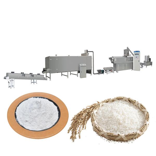 Quality Nutritional Twin Screw Extruder Machine Cereal Snacks Puffed Grain Machine for sale
