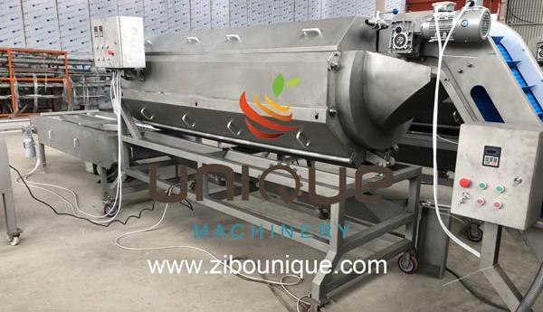 Stainless Steel 304 Automatic Ginger Washer and Cassava Cleaning Machine Year 2021
