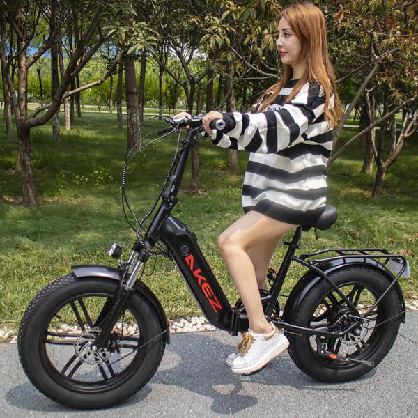 Quality 40Km/H Lithium Battery Magnesium Alloy Variable Speed Lithium Battery Electric Bicycle for sale