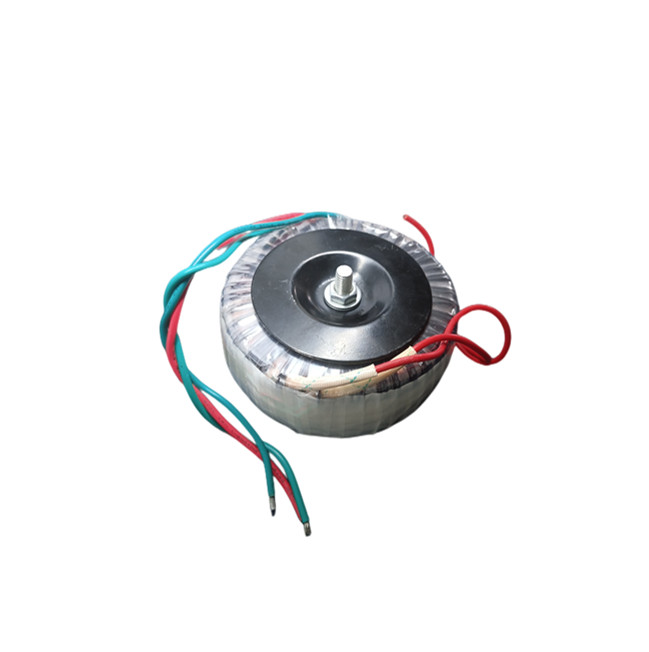 Input 110V 220V 230V Output 12V 24V 55V 1000VA Audio Toroidal Transformer