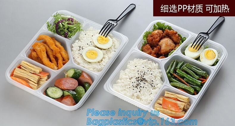 Blister large clear plastic fruit container with lid for fruit packaging,blister fruit box /container/ fruit Tray/ Clear