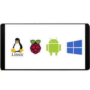 China Raspberry Pi Industrial Touch Screen Panel 65K 16 Bit LCD Display 5.5in on sale
