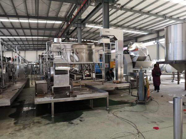 Quality High Automation Soybean Peanut Frying Machine , Industrial Snack Frying Equipment for sale