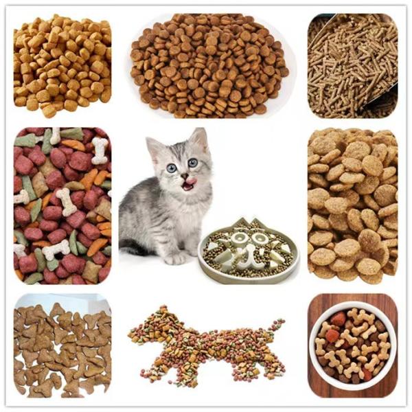 Quality 120kg/H Capacity Dog Food Production Line High Efficiency for sale