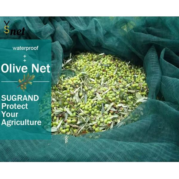 Hexagon Olive Harvest Net 30gsm - 200gsm Mulberry Harvesting Net