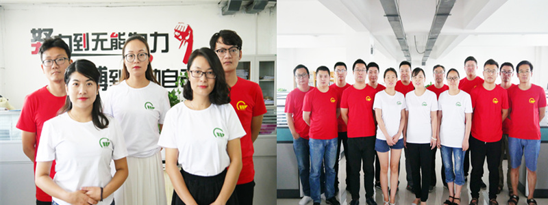 Moisture Reduction of 3-15% Paddy Dryer Machine with 60-1000 T/D Handling Capacity and 1-Year After-Sales Support