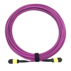 Buy cheap 12 Core OM4 Lszh Patch Cable , SENKO Female Mpo Patch Cord Purple Color product