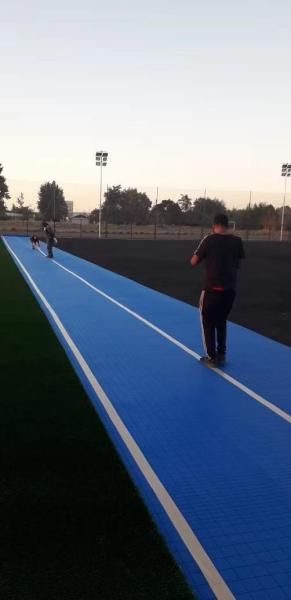 Quality PE Foam Artificial Turf Shock Pad Underlay UV Resistant Customized Thickness 8-30 mm for sale