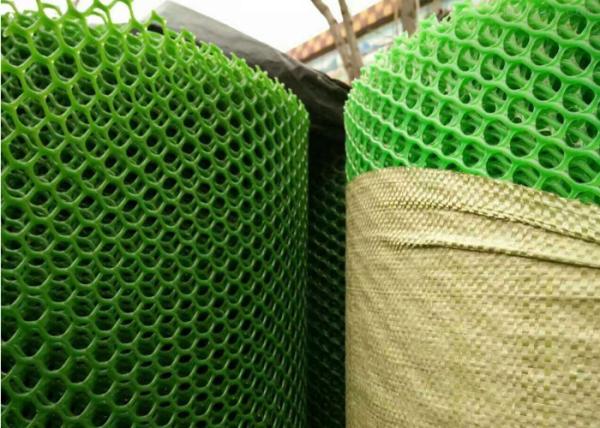 Quality Iso9001 2015 Certificate Plastic Netting Mesh Green Colour Hdpe Flat 10x10mm for sale