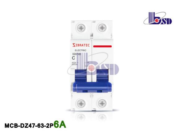 Quality 6Amp Double Pole Circuit Breaker / Plastic Small C Curve Circuit Breaker for sale