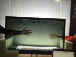 Colorful Refrigerator With Lcd Touch Screen , Flexible Size Transparent Lcd