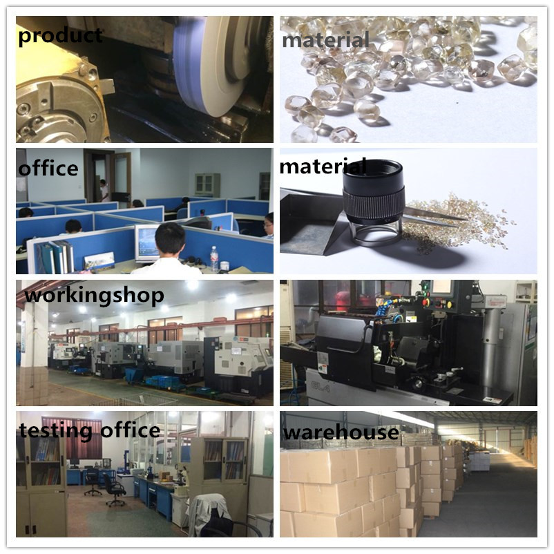 company informartion