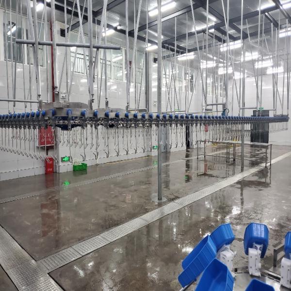 Quality 500 Bph Chicken Slaughtering Line 220V / 380V Chicken Plucker Machine for sale