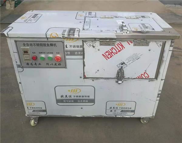 Quality Fish scale removing machine,fish scale cleaning machine for sale