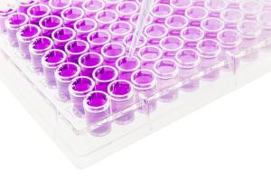 Buy cheap Polystyrene 96 Well Cell Culture Plate For Experimental Research product