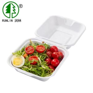 9''X7'' Sugarcane Bagasse Clamshell Box Recyclable Biodegradable Takeaway Food