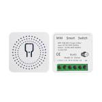 Tuya Alexa Timer Smart Switch 10A Relay Module Work Remote Smart Switch support