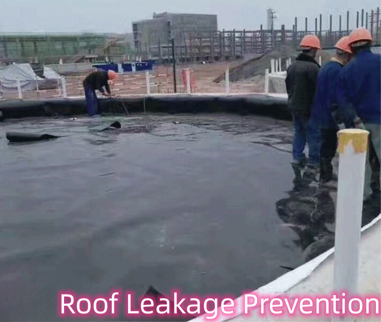 Modern Design 2mm HDPE Double Smooth Geomembrane for Biogas Digesters Double Smooth