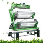 Multi Layer Color Sorter Machine High Accuracy For Tea Processing Industry