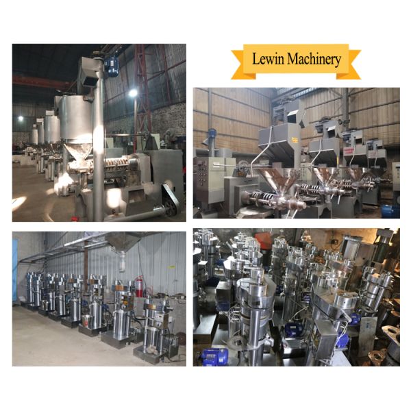 Factory direct sales new designed easy operation perilla seed spiral oil making machine