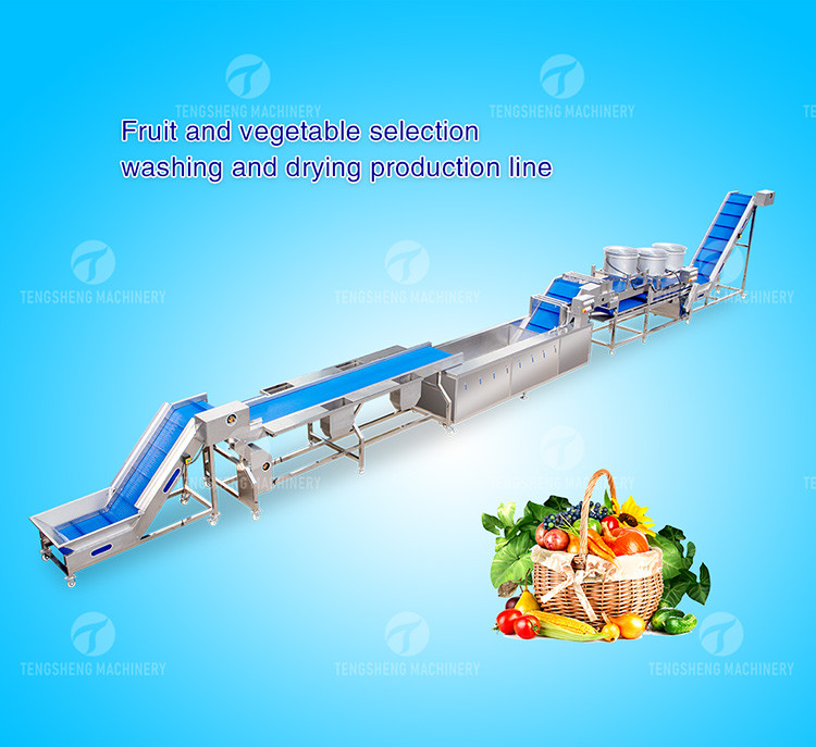 Automatic Fruit And Vegetable Processing Line Selection Washing Drying