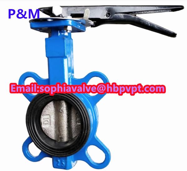 Quality DIN cast iron wafer butterfly valve with pin for sale