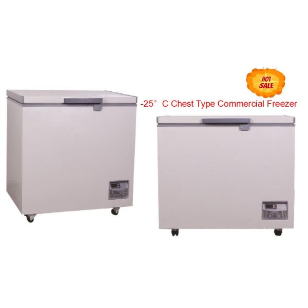 -25 Degrees Deep Chest Type Freezer / Medical Grade Freezer For Fresh Vegetables