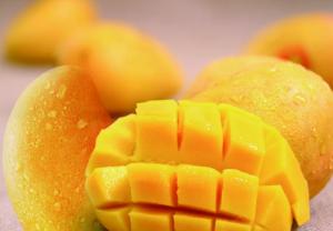 China Small Scale Fresh Juice Mango Processing Plant 2t/H on sale