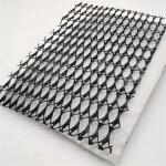 HDPE Mesh 3D Composite Drainage Composite Geo Net Geonet Black White for Your
