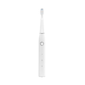 China Multifunctional Dental Electric Toothbrush , Adult Ultrasonic Toothbrush Cleaner on sale
