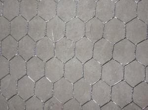 China Hd Galvanized Stainless Steel Chicken Wire Mesh W2m on sale
