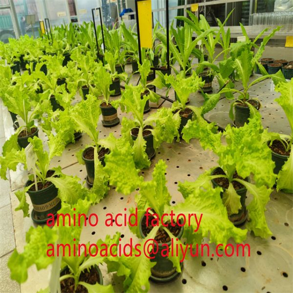 Source Free Amino Acid Liquid Fertilizer