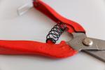 Quality Professional Cutting Scissors Pointed Tip Design Pivot Mechanism 160mm