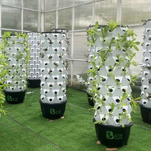 Buy cheap Automatic Hydroponic Growing Kit With Visible Line And Removable Basket product
