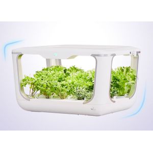 Buy cheap PVC 15 Holes 24V Vertical Hydroponic Growing Systems product