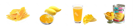 440V Industrial Mango Juice Processing Line mango pulp machine