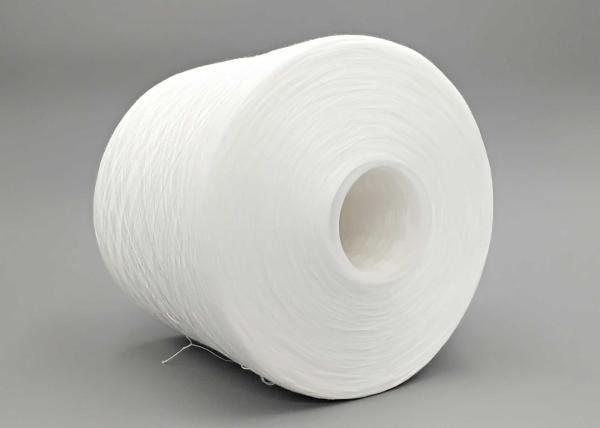 Quality 20S/3 High Strength Ring Spun Polyester Machine Knitting Yarn for sale