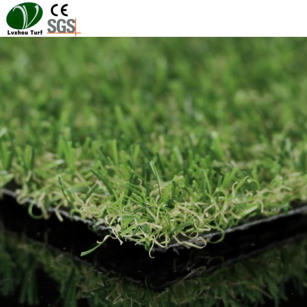 Quality 15mm Securing Artificial Grass Lawn  Non Reflective With Sunshine Environmental for sale
