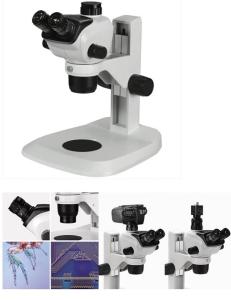 Buy cheap Up - Down Illumination Stereo Zoom Binocular Microscope / Trinocular Stereo Microscope product
