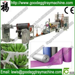 China High quality Plastic Extruded and Foamed EPE foam sheet extruder on sale
