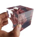 custom cube brick resin paper weight with inclusion embeddings