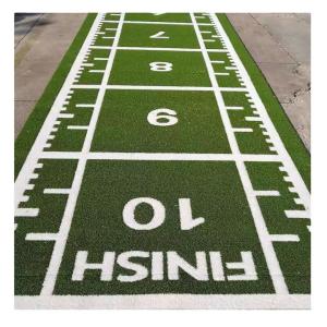 Buy cheap 15mm Indoor Synthetic Gym Artificial Turf Customized Monofilament Curly product