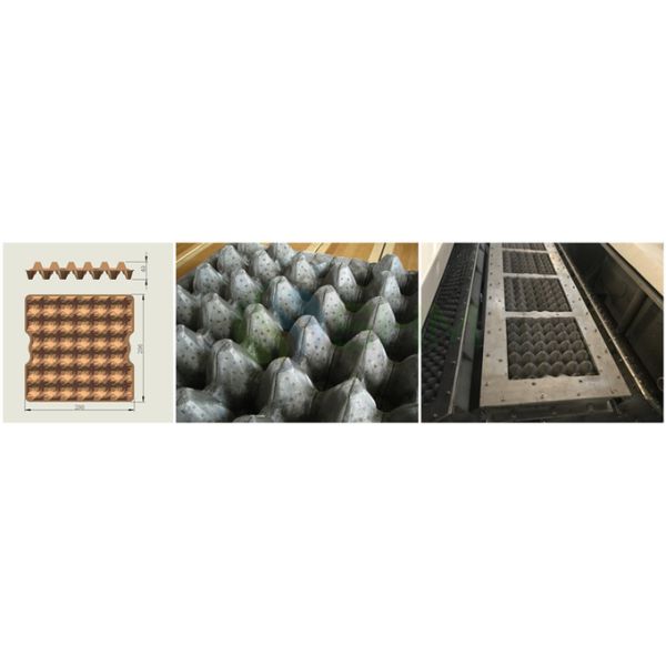 Small Automatic Egg Crate Making Machine Paper Egg Tray Manufacturing