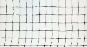 Buy cheap Square Mesh Anti Bird Netting product
