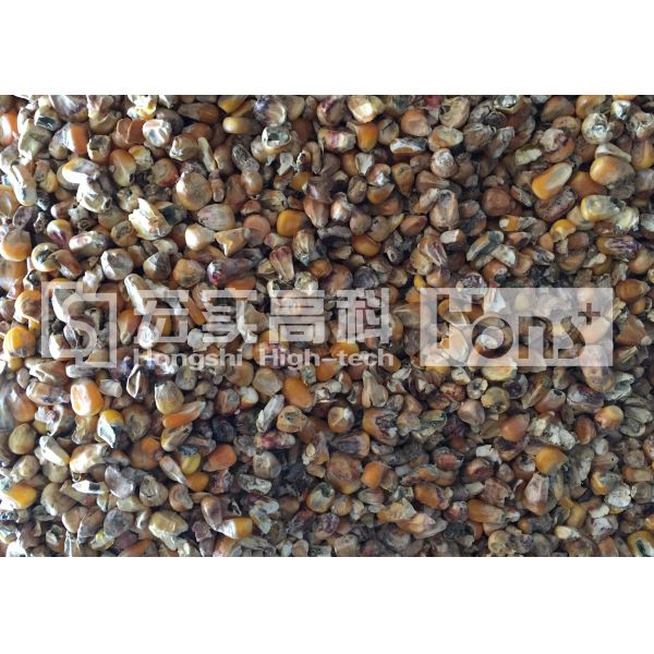 Small Size Corn Color Sorter Machine High Capacity 2 Chutes