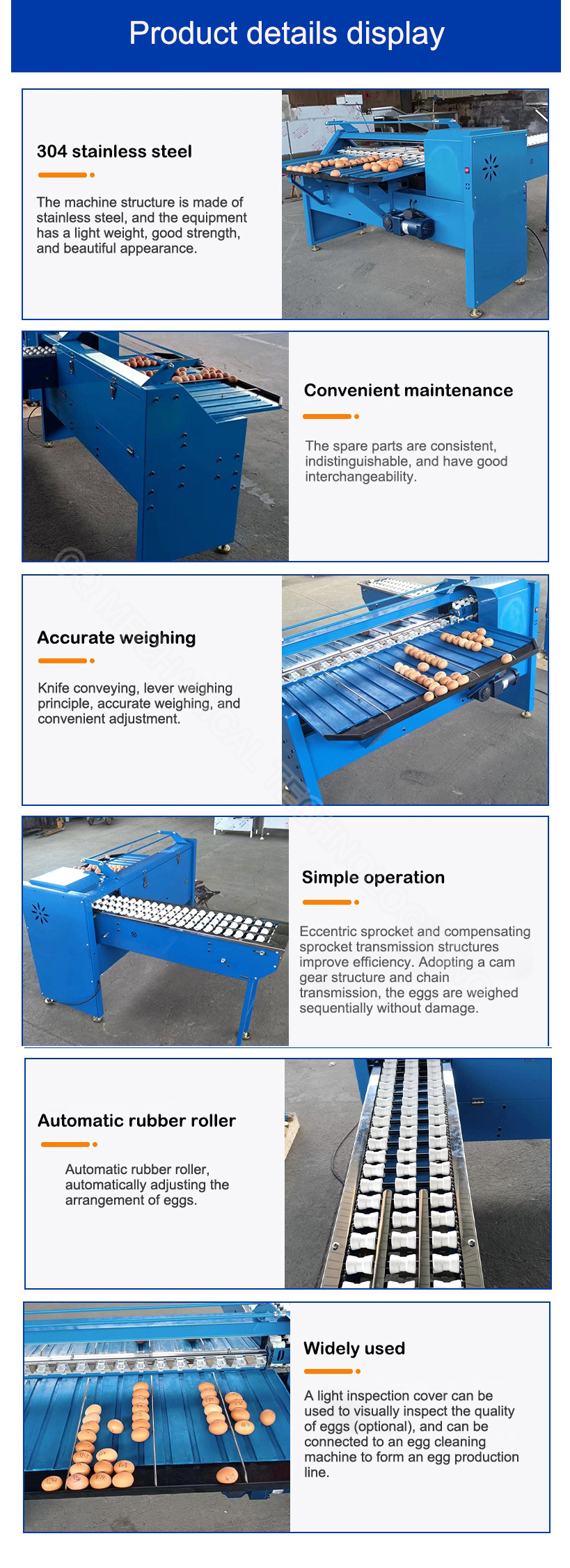 Egg Grade Machine Egg Sort Machine Egg Grader Egg Grader Machine