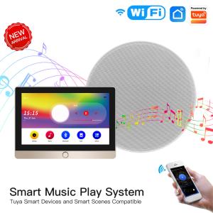 Tuya Smart Home Security Background Music System Wall Amplifier Central Control Panel