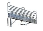 Common Sizes Portable Sheep Loading Ramp , Lightweight Livestock Loading Chute
